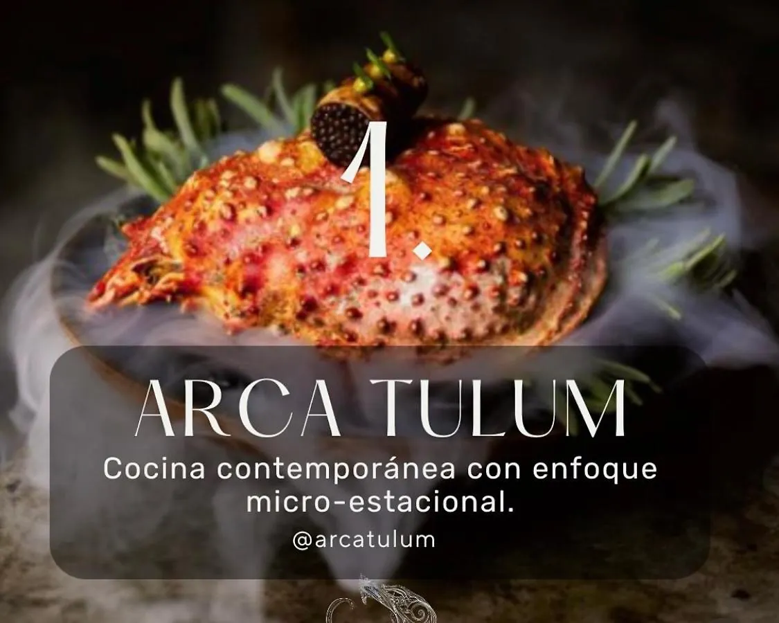 Cacao Tulum Estudio Particular Mexico